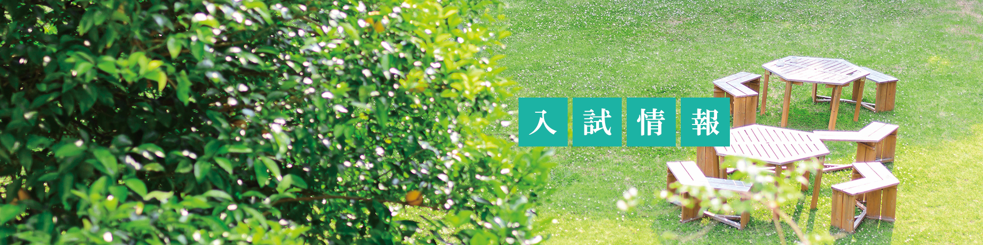 入試情報