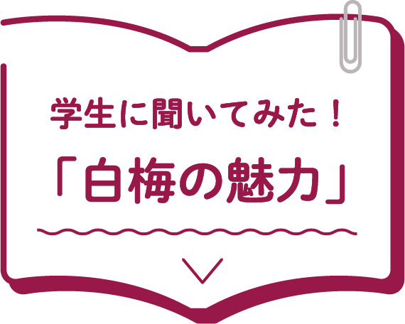 白梅の魅力