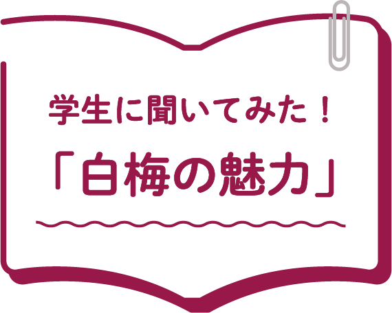 白梅の魅力