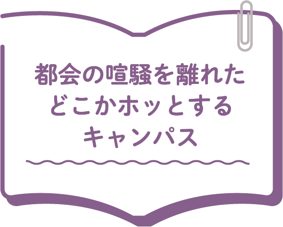 都会の喧騒を離れたどこかホッとするキャンパス